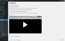 Page screenshot: Settings →  → Shortcode Info