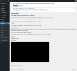 Page screenshot: Settings →  → Shortcode Info
