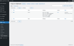 Page screenshot: Settings → Copy to Clipboard