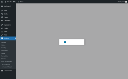 Page screenshot: Settings → Upgrade  ➤