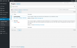 Page screenshot: Plugins &lsaquo; Test site &mdash; WordPress