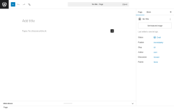 Page screenshot: Add Page &lsaquo; Test site &mdash; WordPress