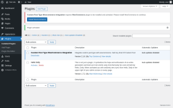 Page screenshot: Plugins ‹ Test site — WordPress