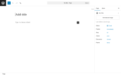 Page screenshot: Add Page &lsaquo; Test site &mdash; WordPress