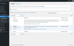 Page screenshot: Plugins &lsaquo; Test site &mdash; WordPress