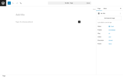 Page screenshot: Add Page &lsaquo; Test site &mdash; WordPress