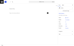 Page screenshot: Add Post &lsaquo; Test site &mdash; WordPress