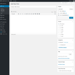 Page screenshot: Add New Post &lsaquo; Test site &mdash; WordPress