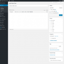 Page screenshot: Add New Post &lsaquo; Test site &mdash; WordPress