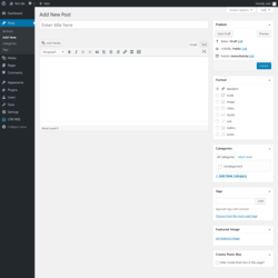 Page screenshot: Add New Post &lsaquo; Test site &mdash; WordPress