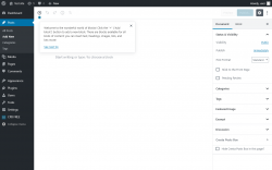 Page screenshot: Add New Post &lsaquo; Test site &mdash; WordPress