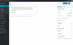 Page screenshot: Add New Post &lsaquo; Test site &mdash; WordPress