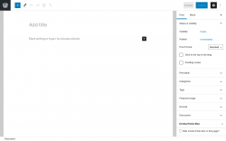 Page screenshot: Add New Post &lsaquo; Test site &mdash; WordPress