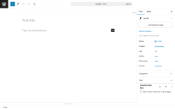 Page screenshot: Add New Post &lsaquo; Test site &mdash; WordPress