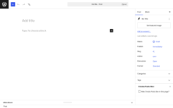 Page screenshot: Add Post &lsaquo; Test site &mdash; WordPress