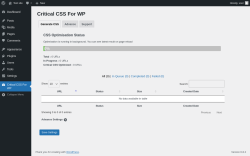 Page screenshot: Critical CSS For WP