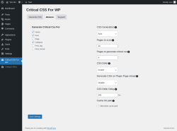 Page screenshot: Critical CSS For WP → Advance