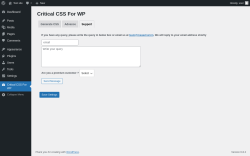 Page screenshot: Critical CSS For WP → Support