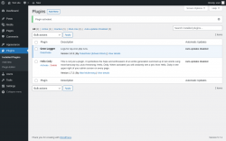 Page screenshot: Plugins &lsaquo; Test site &mdash; WordPress