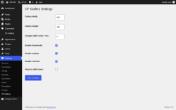 Page screenshot: Settings &rarr; CF Gallery