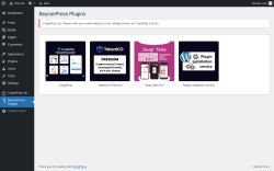 Page screenshot: BeycanPress Plugins