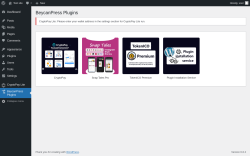 Page screenshot: BeycanPress Plugins