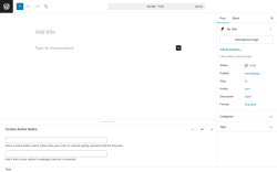 Page screenshot: Add Post ‹ Test site — WordPress