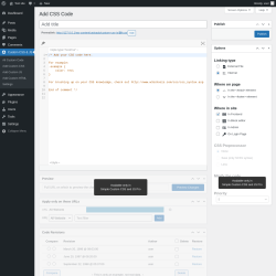 Page screenshot: Custom CSS & JS &rarr; Add Custom CSS