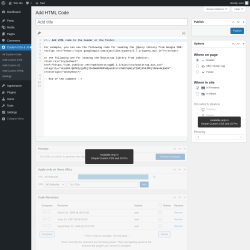 Page screenshot: Custom CSS & JS &rarr; Add Custom HTML