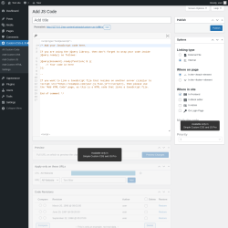 Page screenshot: Custom CSS & JS &rarr; Add Custom JS