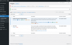 Page screenshot: Plugins &lsaquo; Test site &mdash; WordPress