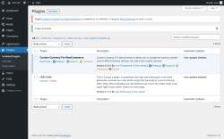 Page screenshot: Plugins &lsaquo; Test site &mdash; WordPress