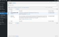 Page screenshot: Plugins &lsaquo; Test site &mdash; WordPress