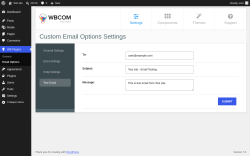 Page screenshot: WB Plugins &rarr; Test Email