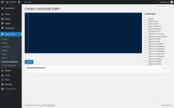 Page screenshot: Appearance → Custom JavaScript