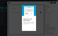Page screenshot: Add New Page ‹ Test site — WordPress