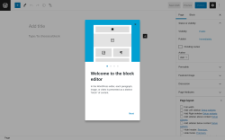 Page screenshot: Add New Page ‹ Test site — WordPress