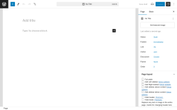 Page screenshot: Add New Page ‹ Test site — WordPress