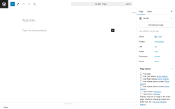 Page screenshot: Add New Page ‹ Test site — WordPress