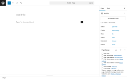 Page screenshot: Add Page ‹ Test site — WordPress