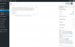 Page screenshot: Add New Page ‹ Test site — WordPress