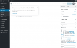 Page screenshot: Add New Page ‹ Test site — WordPress