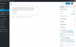 Page screenshot: Add New Page ‹ Test site — WordPress