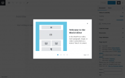 Page screenshot: Add New Page ‹ Test site — WordPress