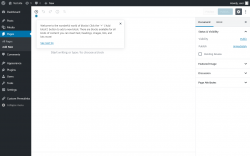 Page screenshot: Add New Page &lsaquo; Test site &mdash; WordPress
