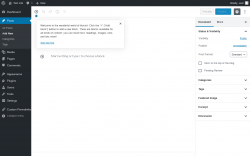 Page screenshot: Add New Post &lsaquo; Test site &mdash; WordPress