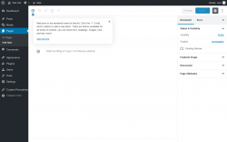 Page screenshot: Add New Page &lsaquo; Test site &mdash; WordPress