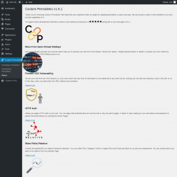 Page screenshot: Custom Permalinks &rarr; About