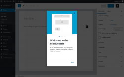 Page screenshot: Add New Post &lsaquo; Test site &mdash; WordPress