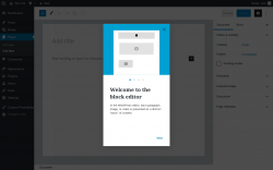 Page screenshot: Add New Page &lsaquo; Test site &mdash; WordPress